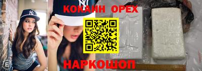 молекула духа Ливны
