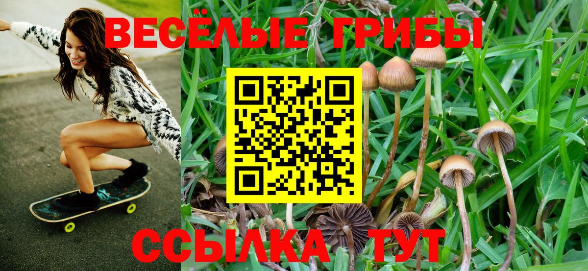 Заволжье  Галлюциногенные грибы мицелий  Вход с VPN  Галлюциногенные грибы Cubensis 